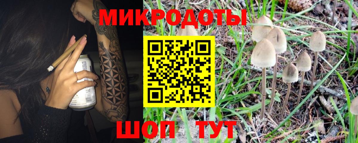 купить закладку  Галлюциногенные грибы Cubensis  Советский  Вход с VPN  Псилоцибиновые грибы мицелий 